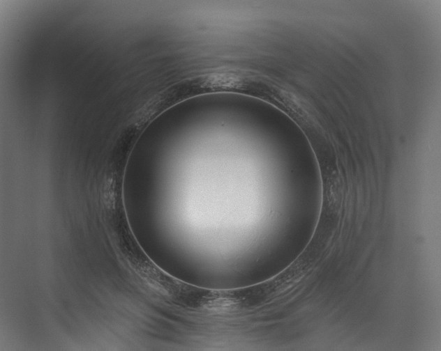 X0000073850551200608171035