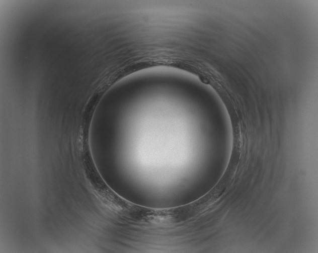 X0000073850552200608171035