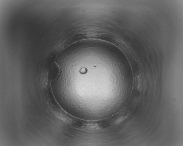 X0000073850554200608171035