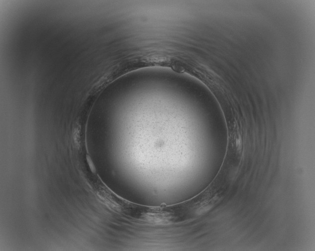 X0000073850556200608171035