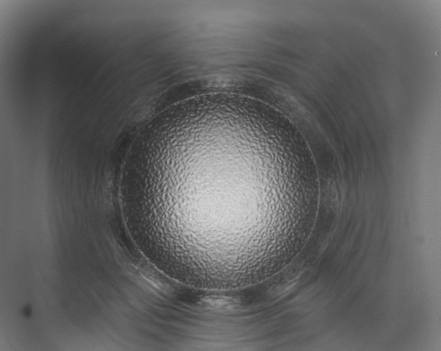 X0000073850557200608171035