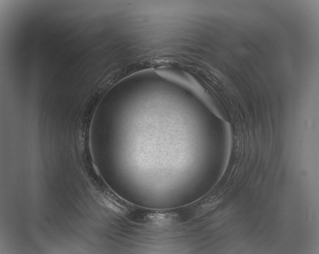 X0000073850558200608171035