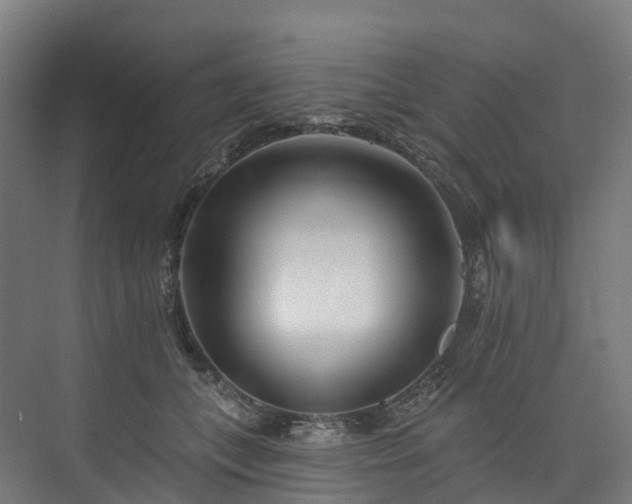 X0000073850559200608171035