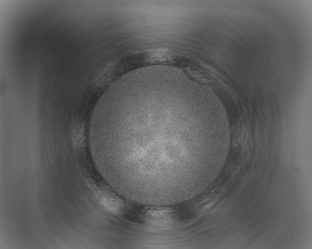 X0000073850560200608171036