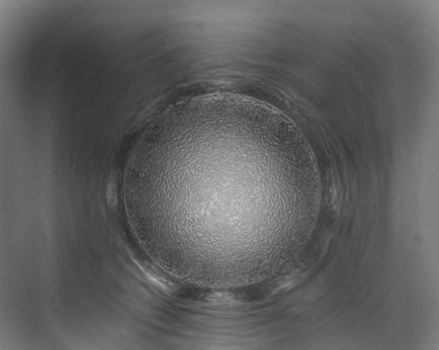 X0000073850562200608171036