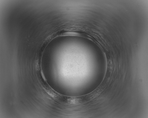 X0000073850564200608171036