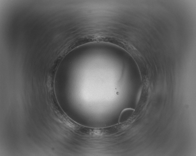 X0000073850565200608171036