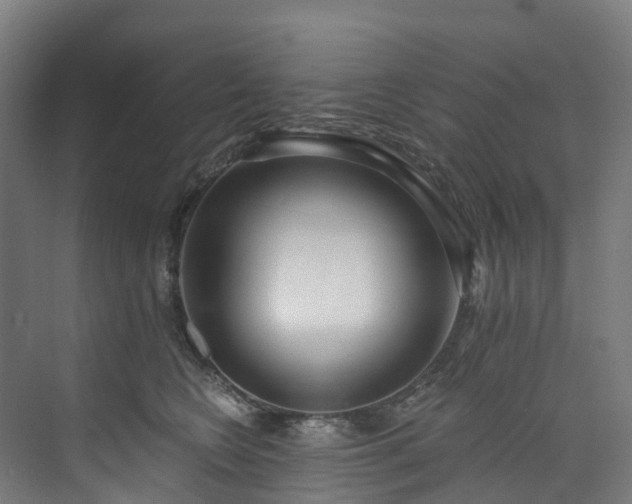 X0000073850566200608171036