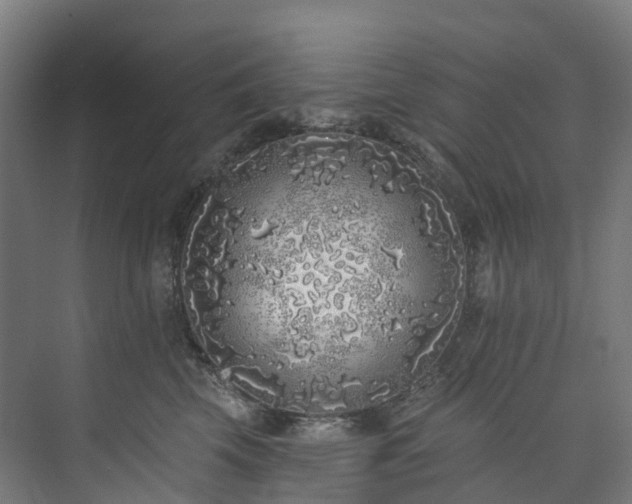 X0000073850569200608171036