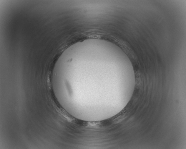 X0000073850573200608171036