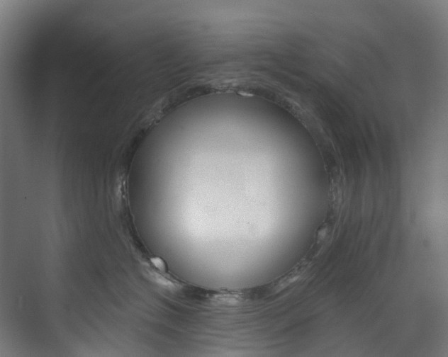 X0000073850574200608171036