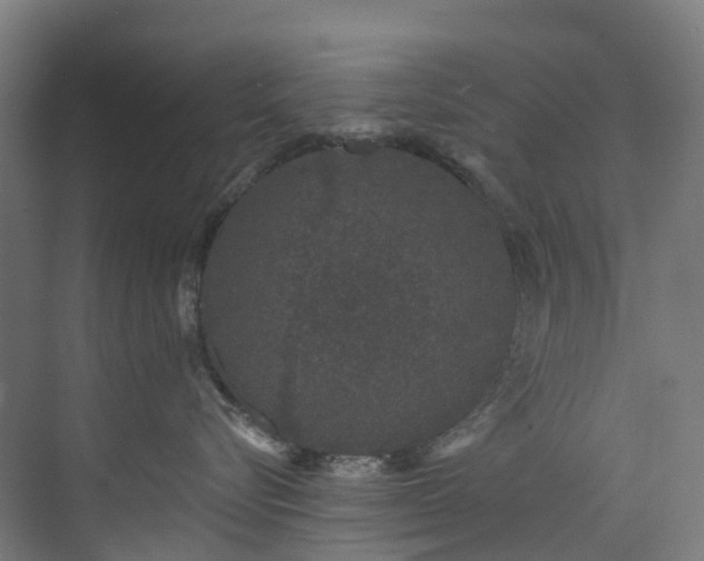 X0000073850576200608171036