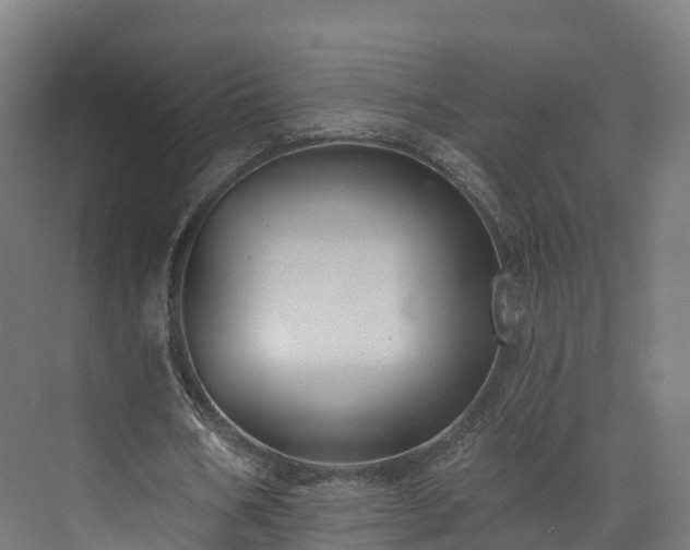 X0000073850578200608171035