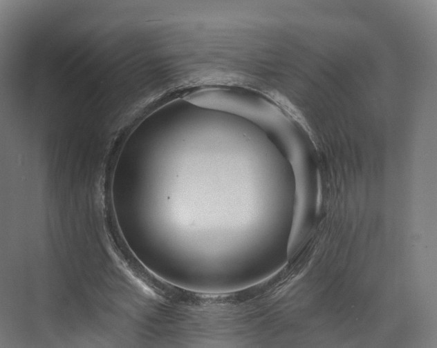 X0000073850581200608171035