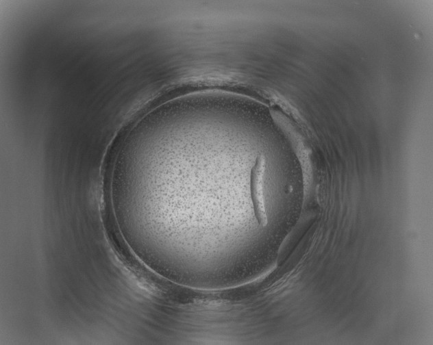 X0000073850582200608171035