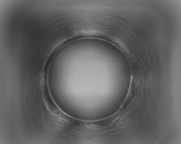 X0000073850583200608171035