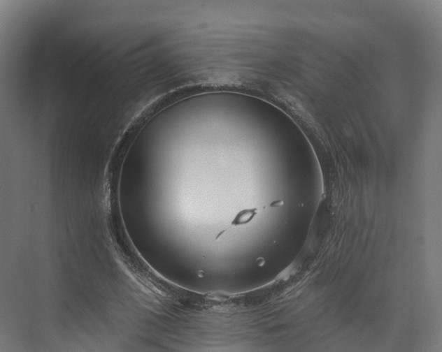 X0000073850584200608171035