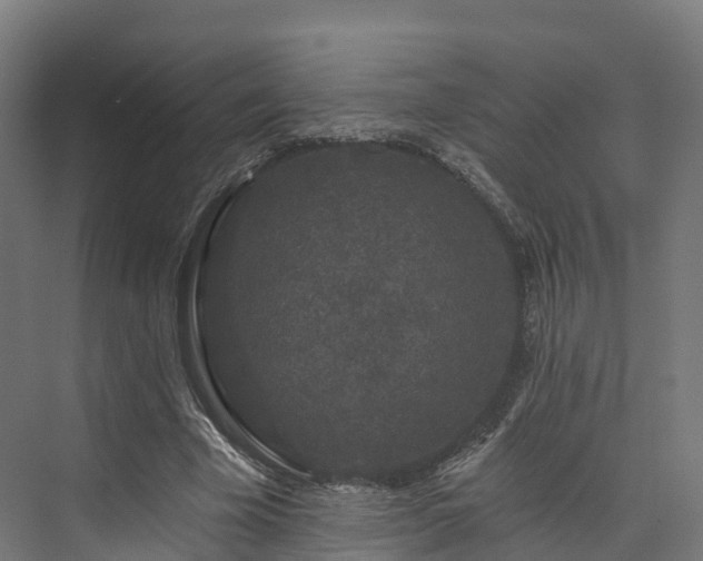 X0000073850585200608171035