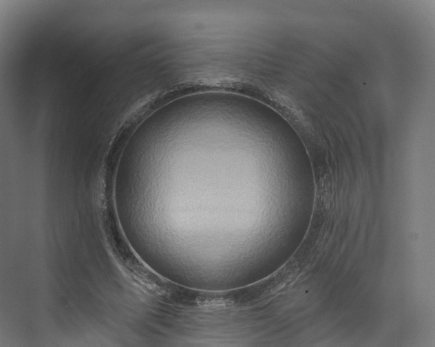 X0000073850587200608171035