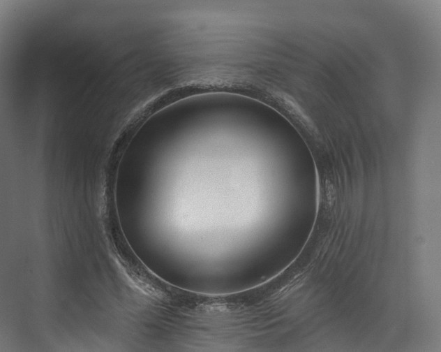 X0000073850588200608171035