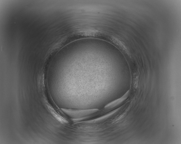 X0000073850589200608171035