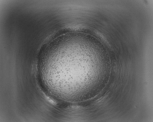 X0000073850590200608171035