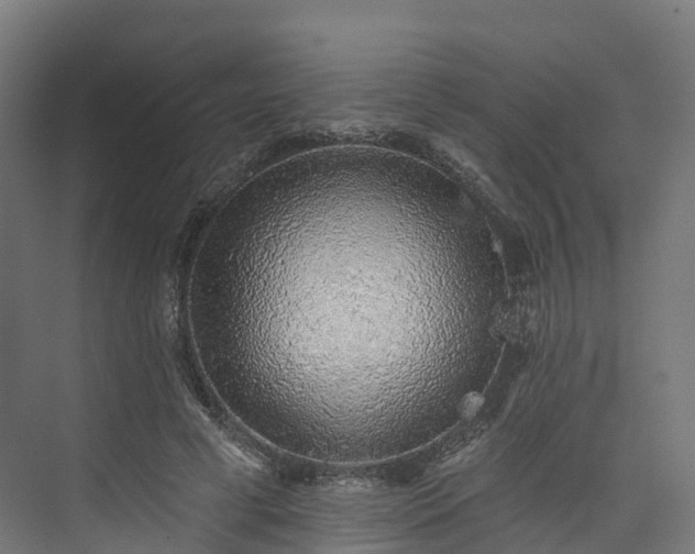 X0000073850593200608171035