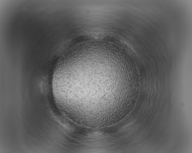 X0000073850594200608171035