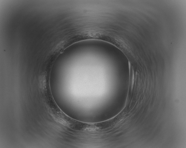 X0000073850595200608171035