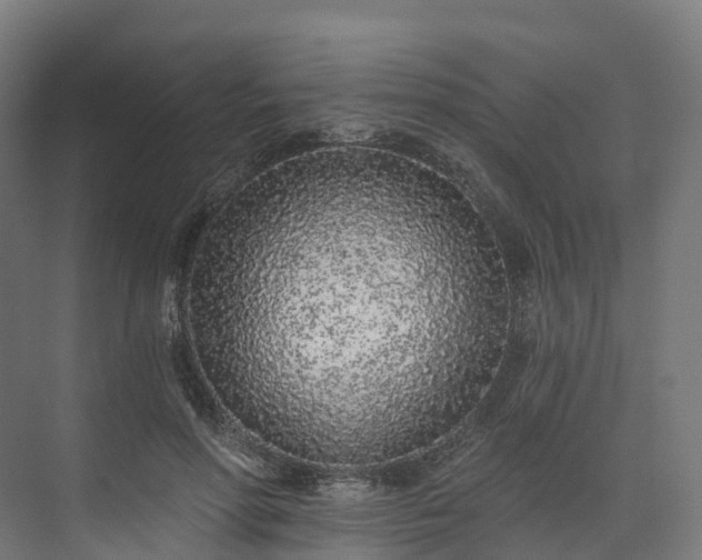 X0000073850598200608171035