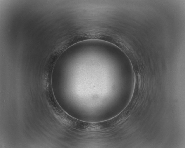 X0000073850599200608171035