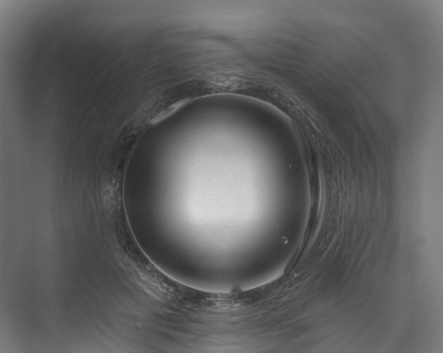 X0000073850601200608171035