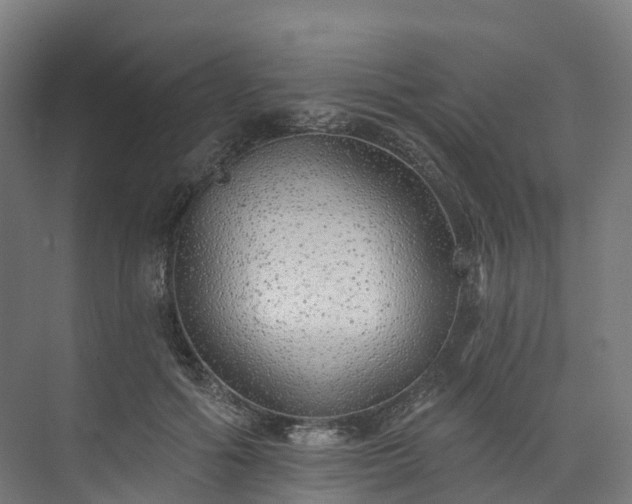 X0000073850602200608171035