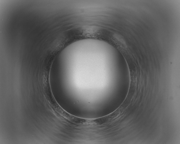 X0000073850603200608171035