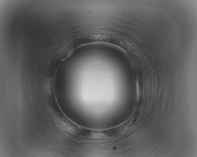 X0000073850605200608171035