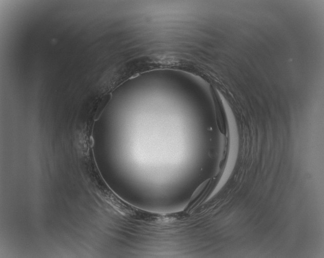 X0000073850609200608171034