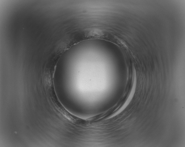 X0000073850617200608171034