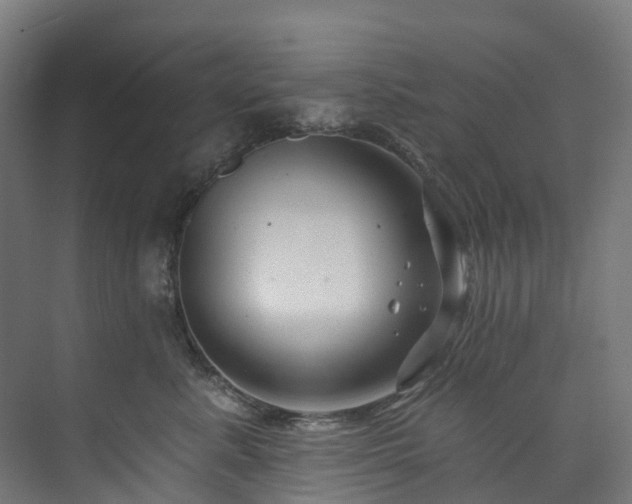 X0000073850619200608171034