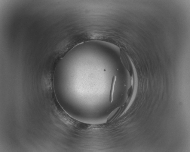 X0000073850620200608171034