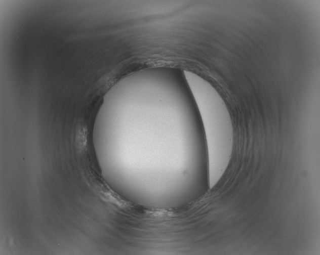 X0000073850621200608171034