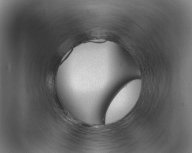 X0000073850623200608171034