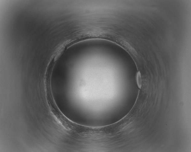 X0000073850626200608171033