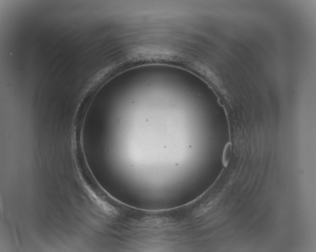 X0000073850629200608171033