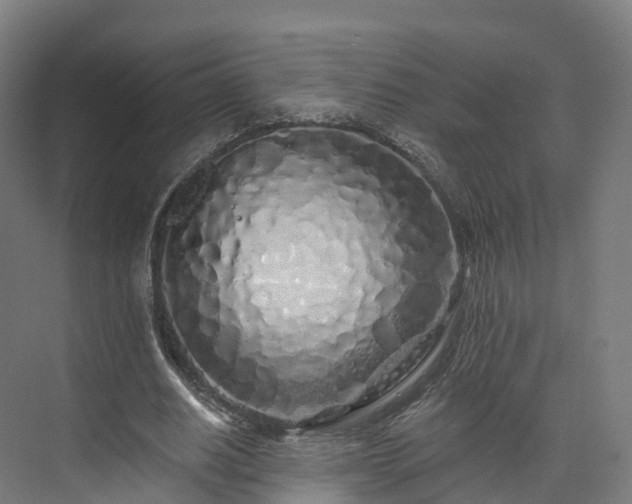 X0000073850630200608171033