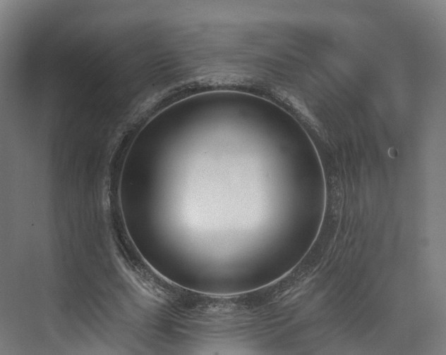 X0000073850631200608171033