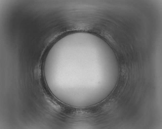 X0000073850632200608171033