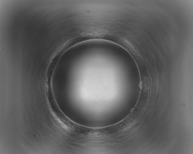 X0000073850634200608171034