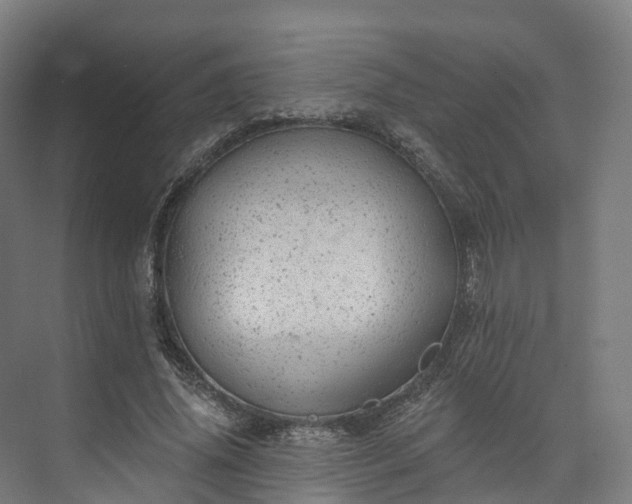 X0000073850636200608171034