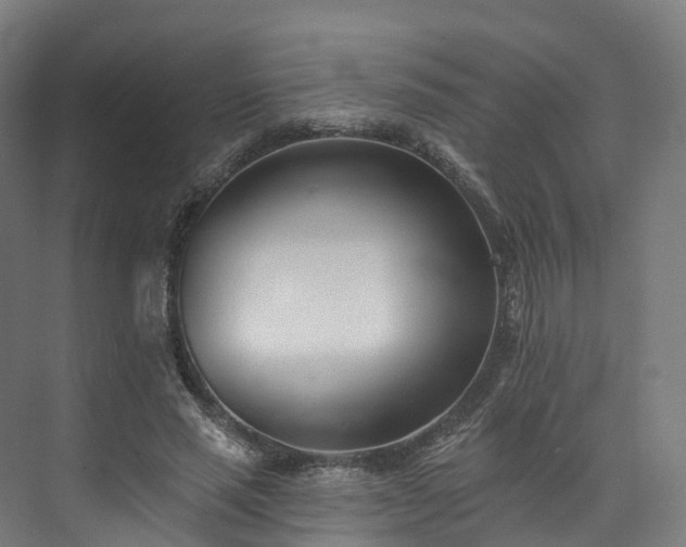 X0000073850637200608171034