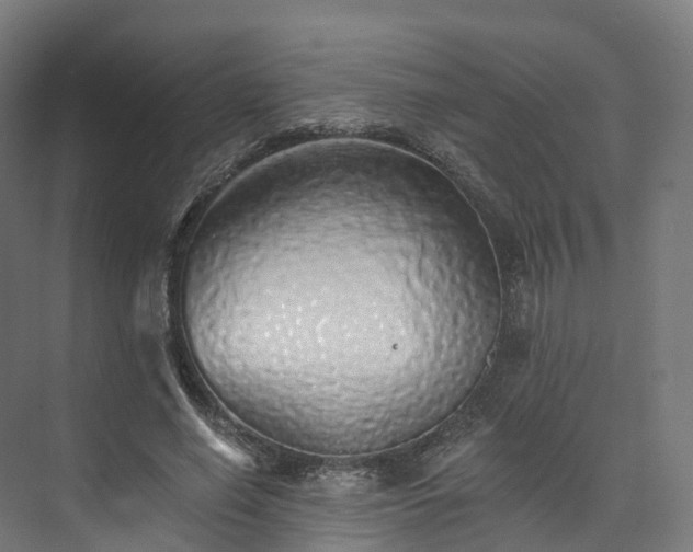 X0000073850638200608171034